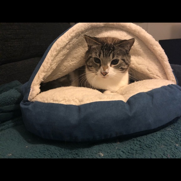 Meet your Posher, Liz - Picture 1 of 1